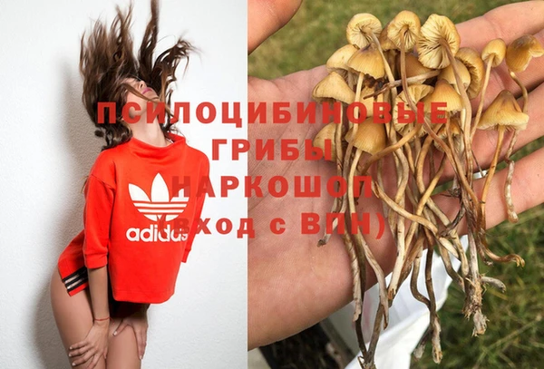 прущая мука Приозерск
